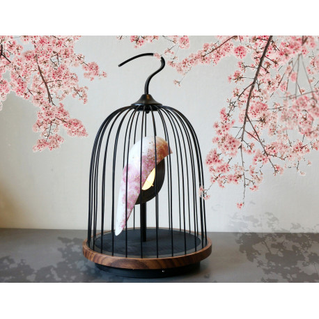 Lampe et enceinte Jingoo Cherry Blossom DAQI CONCEPT